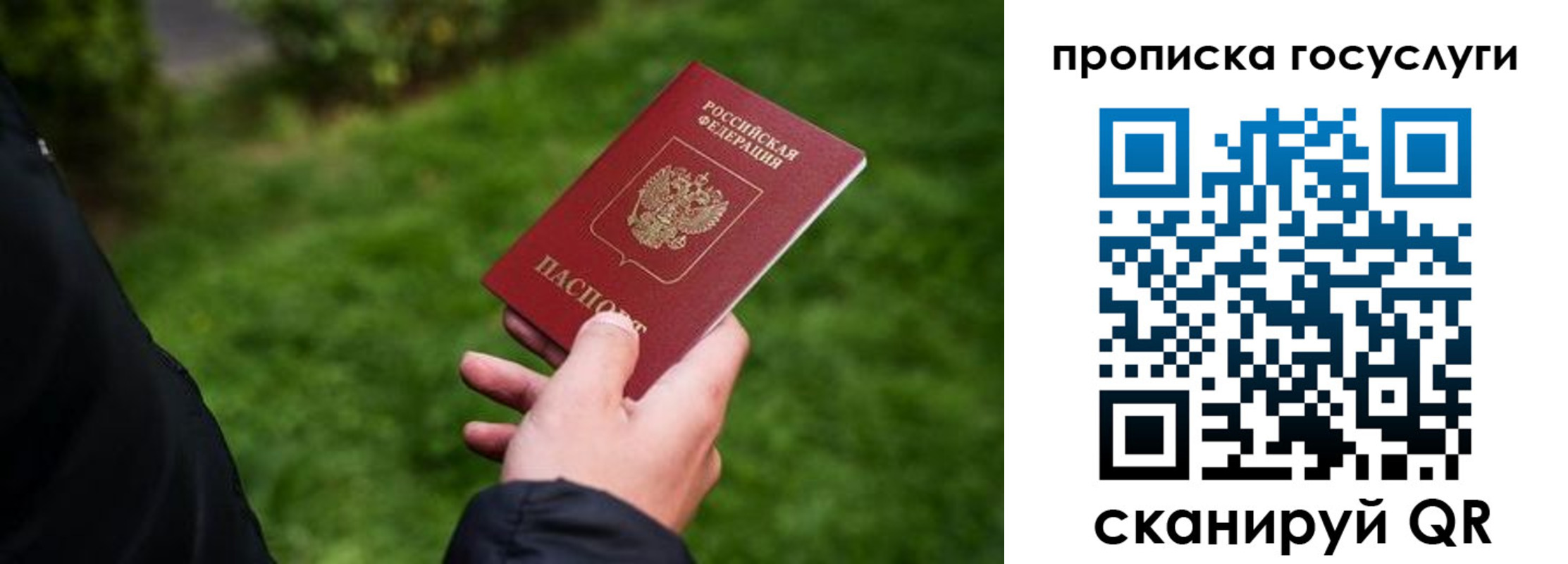 прописка для работы в Бабаево